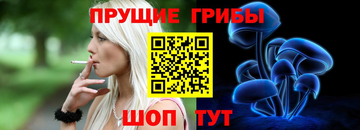 Псилоцибиновые грибы Psilocybine cubensis Нефтекамск
